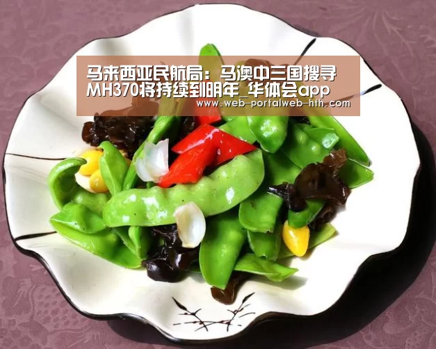 马来西亚民航局:马澳中三国搜寻MH370将持续到明年_华体会app(图3) 华体会