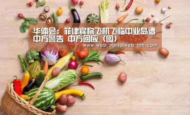 华体会：菲律宾称飞机飞临中业岛遭中方警告 中方回应（图）(图1)