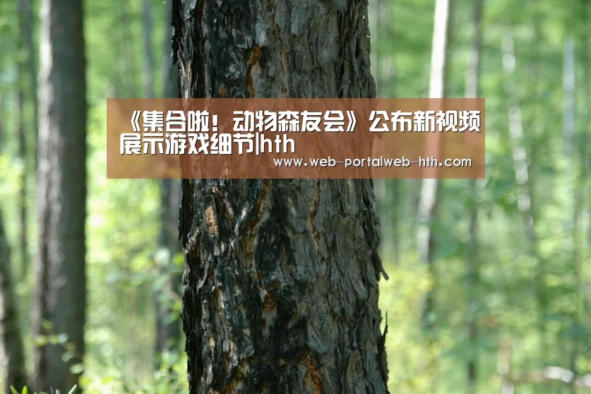 《集合啦！动物森友会》公布新视频展示游戏细节|hth(图3)