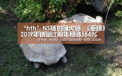 华体会