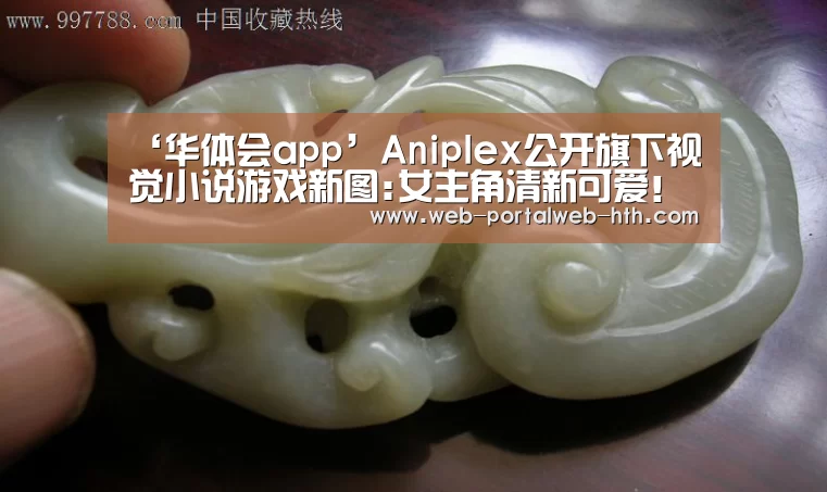 华体会