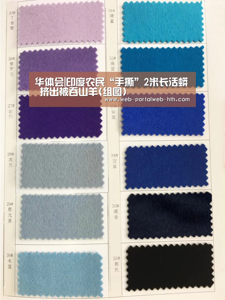 华体会|印度农民“手撕”2米长活蟒 挤出被吞山羊(组图)(图1) 华体会|印度农民“手撕”2米长活蟒 挤出被吞山羊(组图)(图1)