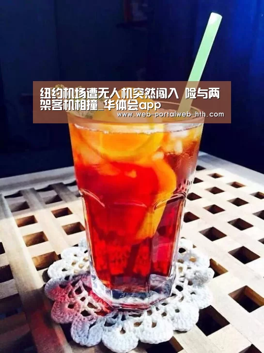 纽约机场遭无人机突然闯入 险与两架客机相撞_华体会app(图2) 华体会app
