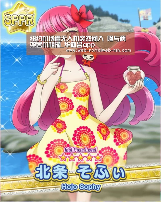 纽约机场遭无人机突然闯入 险与两架客机相撞_华体会app(图3) 纽约机场遭无人机突然闯入 险与两架客机相撞_华体会app(图3)