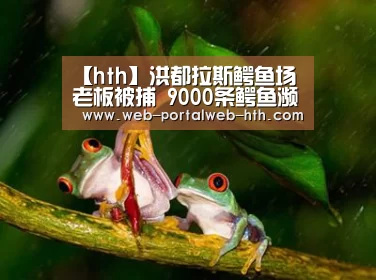 【hth】洪都拉斯鳄鱼场老板被捕 9000条鳄鱼濒临饿死(图3) 华体会